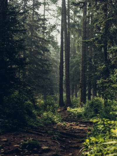 Les bienfaits de passer du temps dehors, en nature - SETA Organic