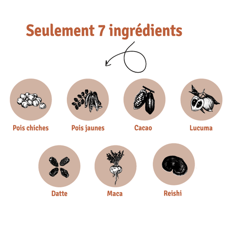 Seta organic Plant-based protein powder ingredients Chick pea protein pea protein cocoa lucuma date maca reishi mushromm