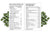 Superaliment vert lentille d'eau valeur nutritive - Lentille d'eau - Superaliment vert - SETA Organic